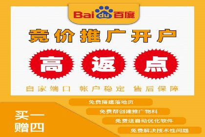 百度竞价推广与SEO结合的策略——以某科技公司为例
